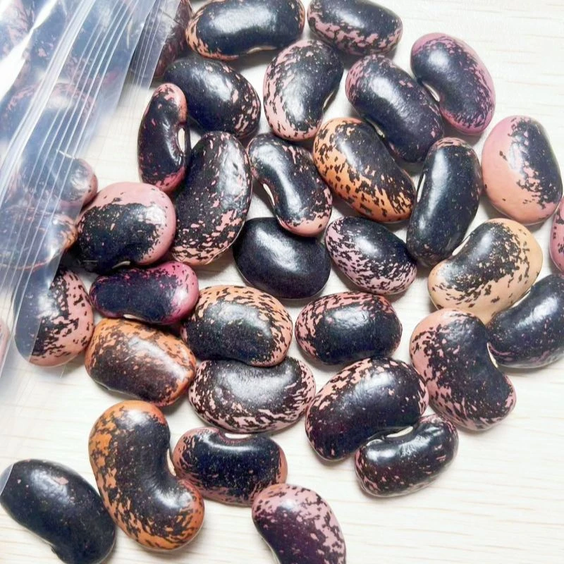 四川万源土特产蜂桶岩豆干货人工晒干原生态煲汤佳品散装2024新货