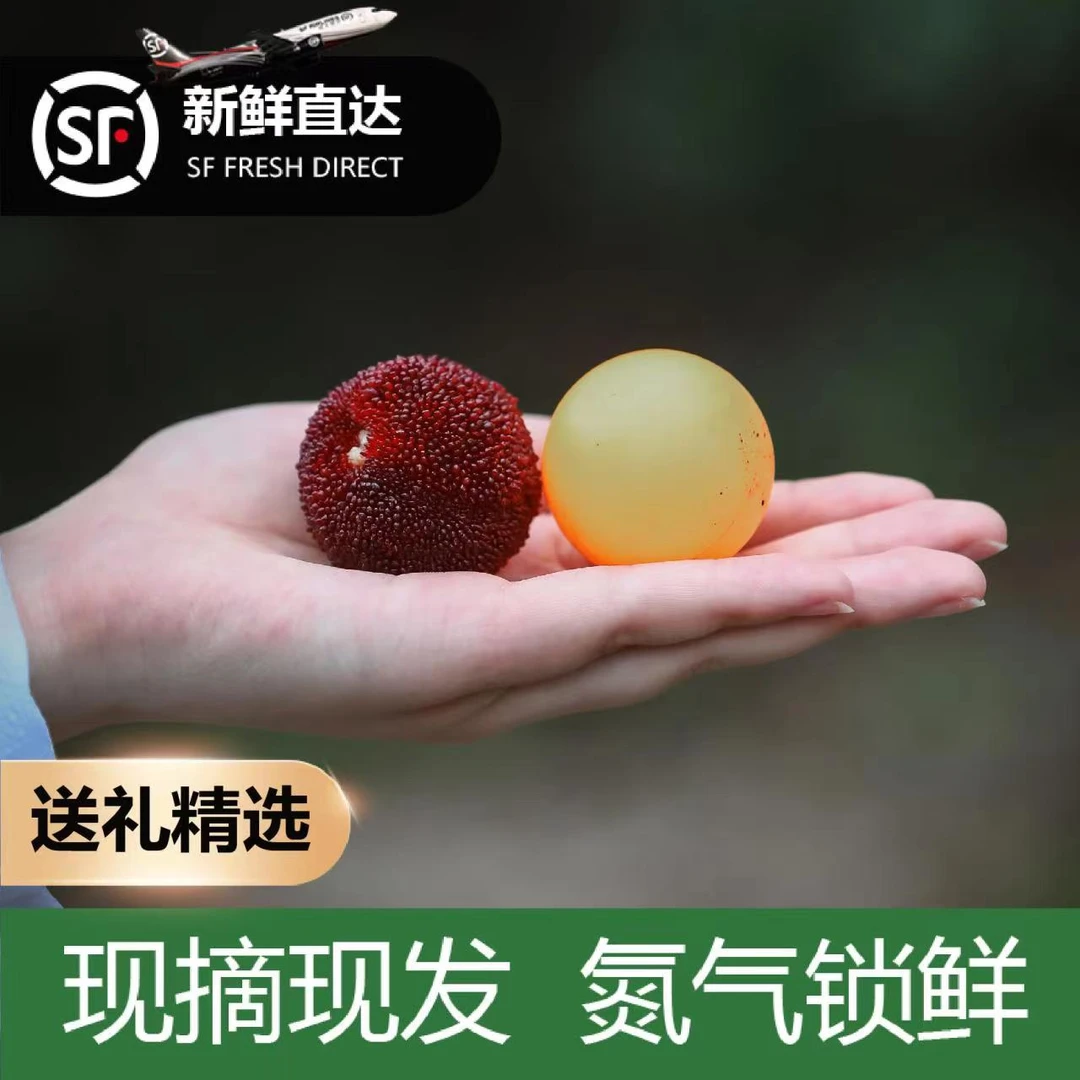 【云南东魁龙头子】25-30克颗粒包装肉厚多汁顺丰包邮