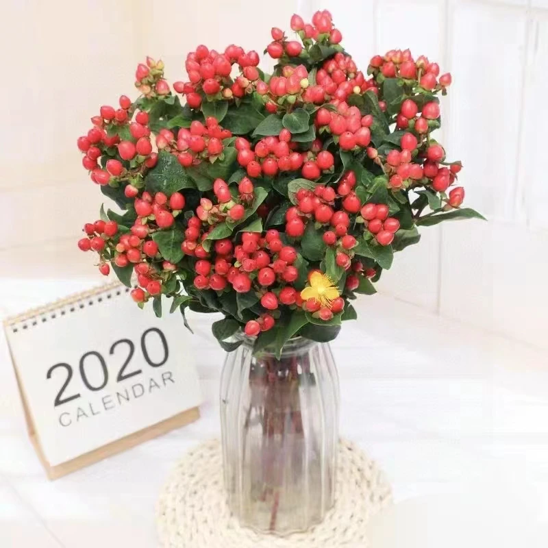 1大扎红豆相思豆【2单顺丰或京东】家用水养鲜花基地直发云南鲜花