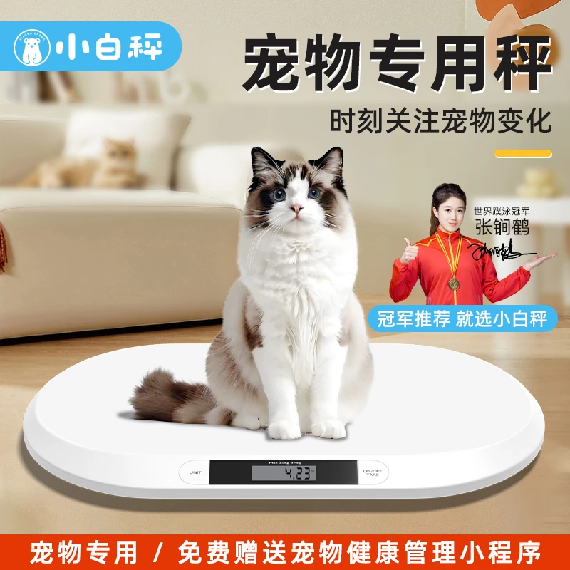 小白秤宠物智能电子称猫咪称重狗狗高精准度宠物体重秤猫咪体重秤
