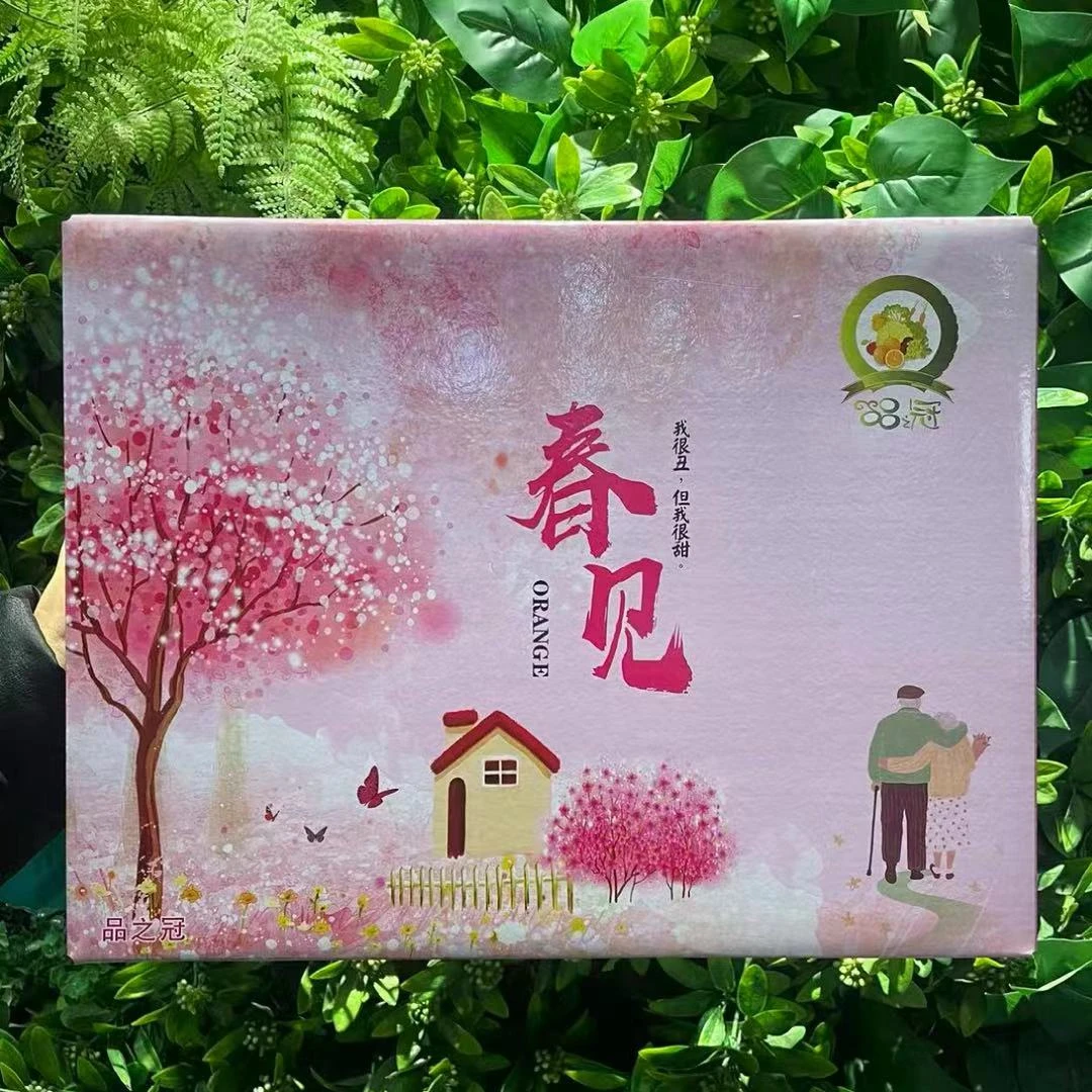 品之冠四川春见耙耙柑现摘现发粉色礼品箱线下门店同款应季水果