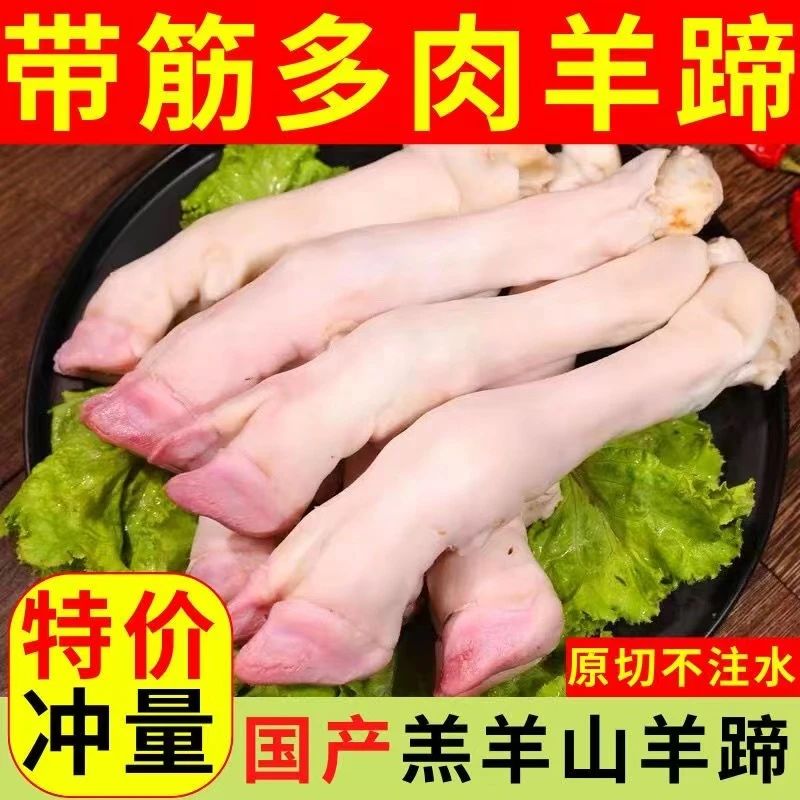 10斤新鲜白羊蹄子带筋整只羊脚顺丰包邮赠送料包