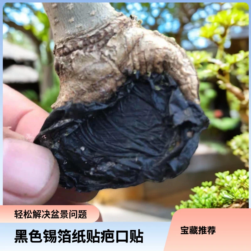盆景造型防树木伤口炸皮疤口愈合黑色锡箔纸贴快速形成马眼
