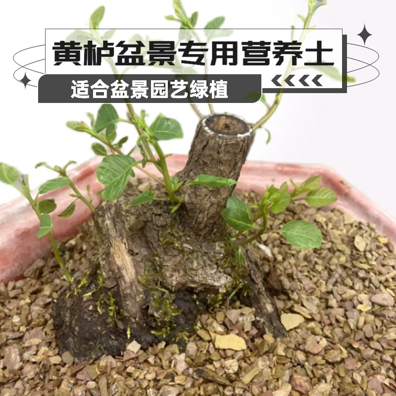 黄栌盆景专用营养土小包无土微酸栽种土壤培养保湿混合配土