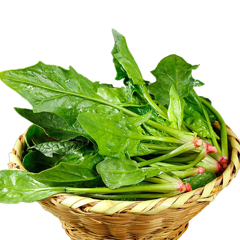 新鲜菠菜约500g±50g