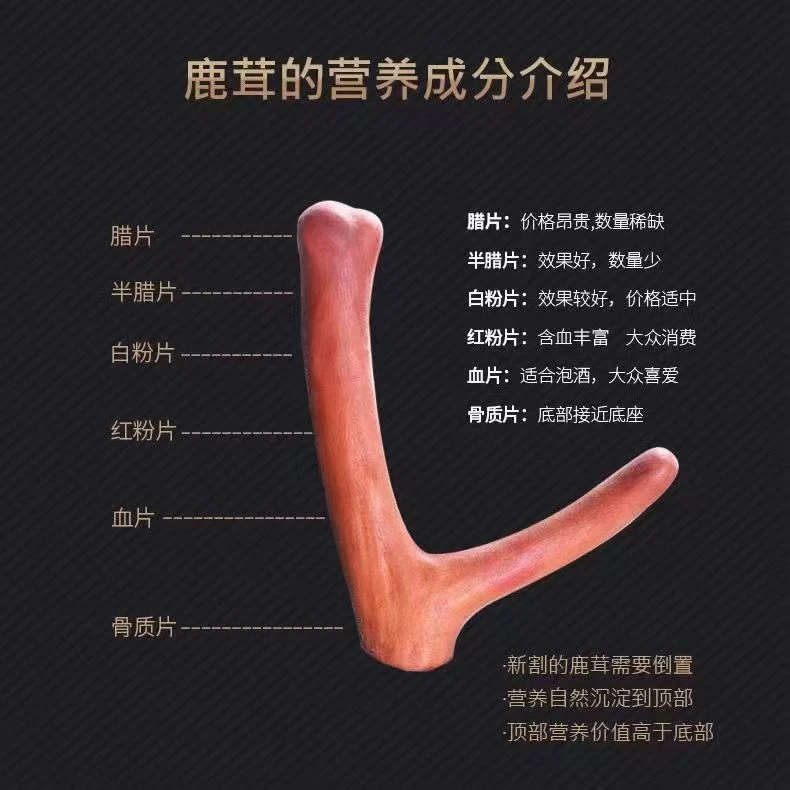 【梅花鹿】改价链接