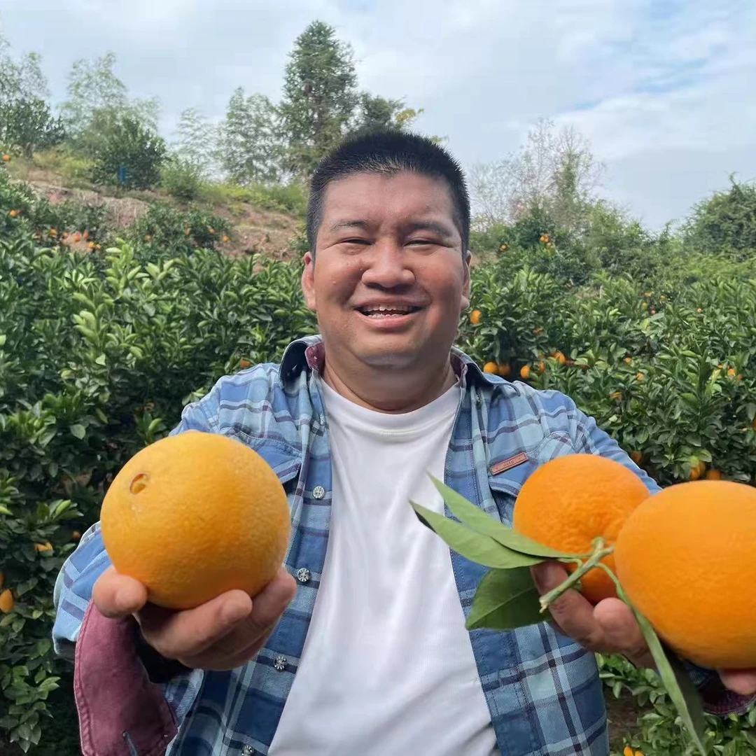 【双十二直降】二哥的橙子（正宗赣南脐橙，主产地直采）