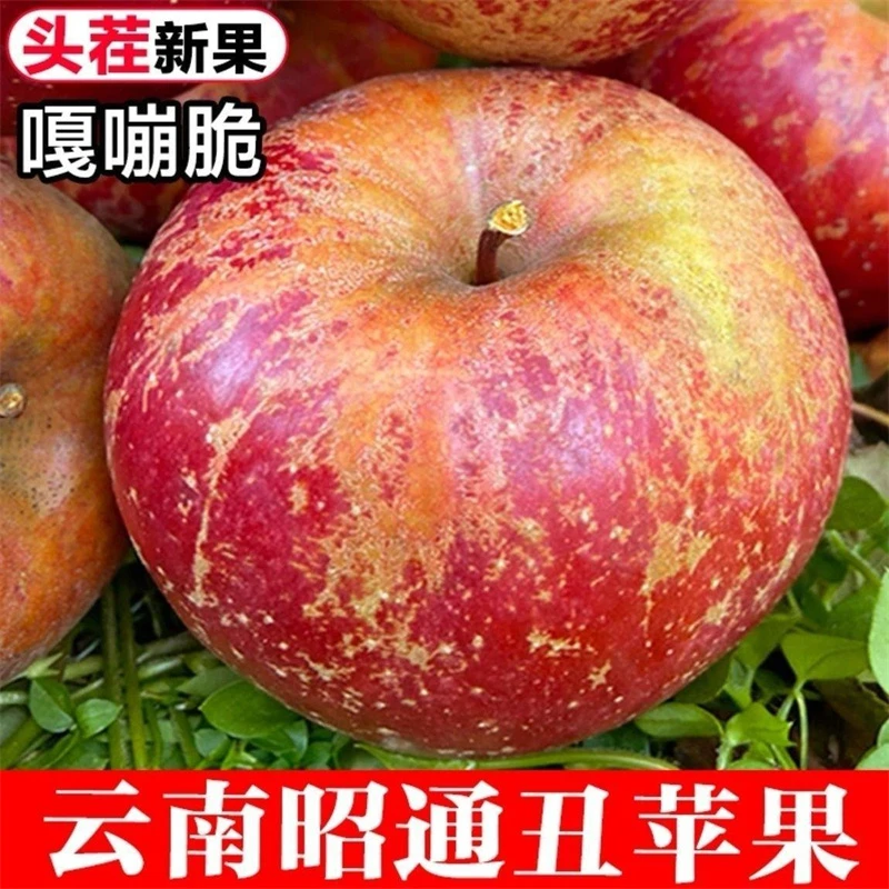 云南昭通红露苹果当季现摘现发新鲜水果脆甜多汁带箱新鲜应季水果
