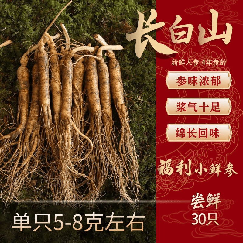长白山原产地现挖新鲜人参 1元/支 每支5-8克 30支起拍送种子