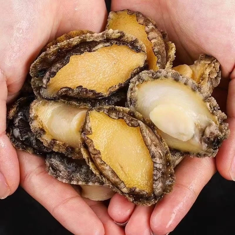 【鲜剥】鲜活4头大鲍鱼手工剥纯肉14颗左右