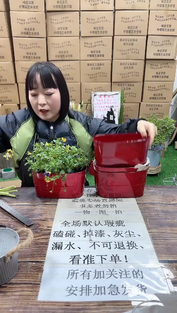 【闪购商品】红陶15cm以下609