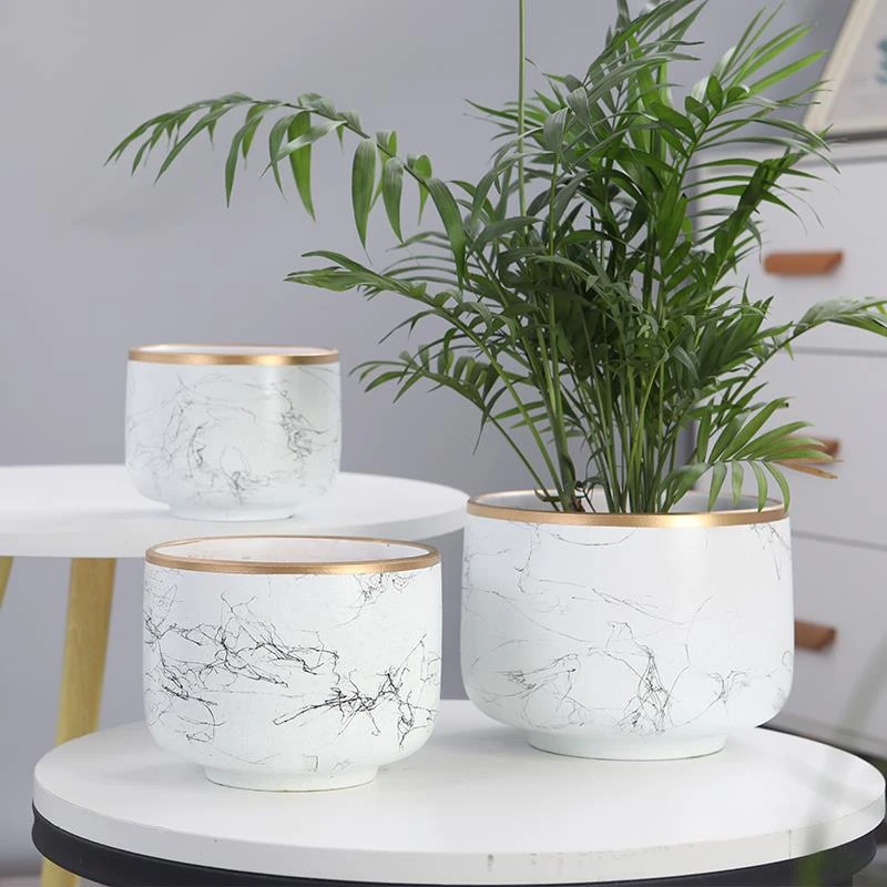 陶瓷花盆家用客厅白色欧式高级感君子兰大号发财树蝴蝶兰专用兰花