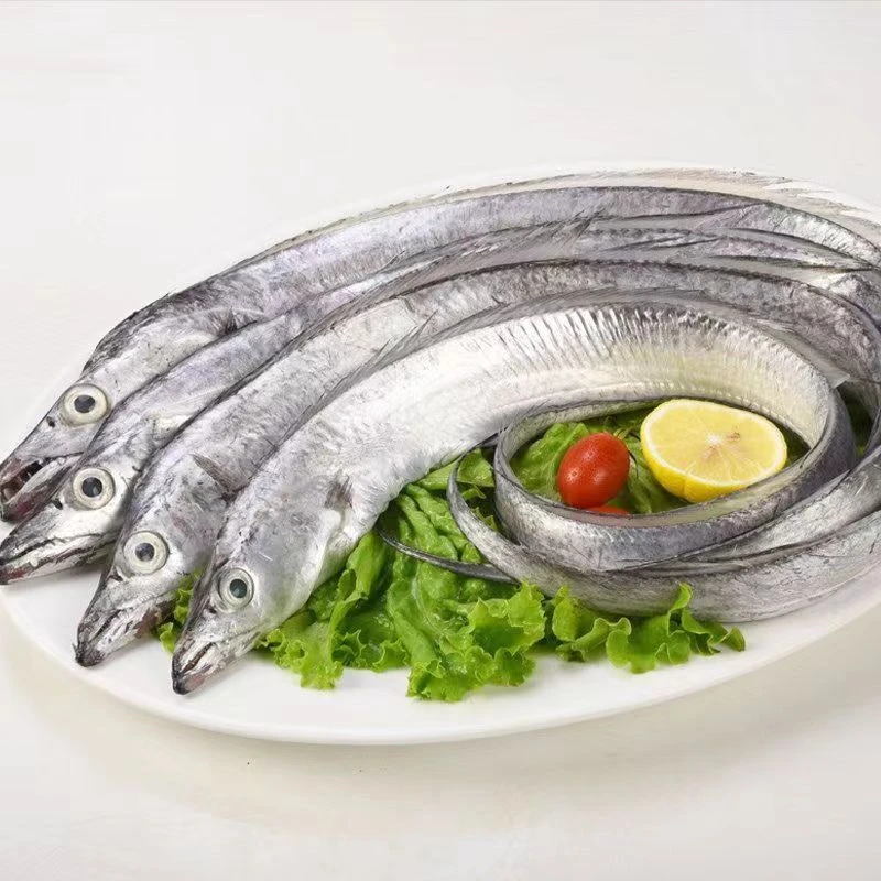 海捕新鲜肉厚肉质鲜嫩冷冻冰鲜带鱼 4~6两/条7~8条4斤左右