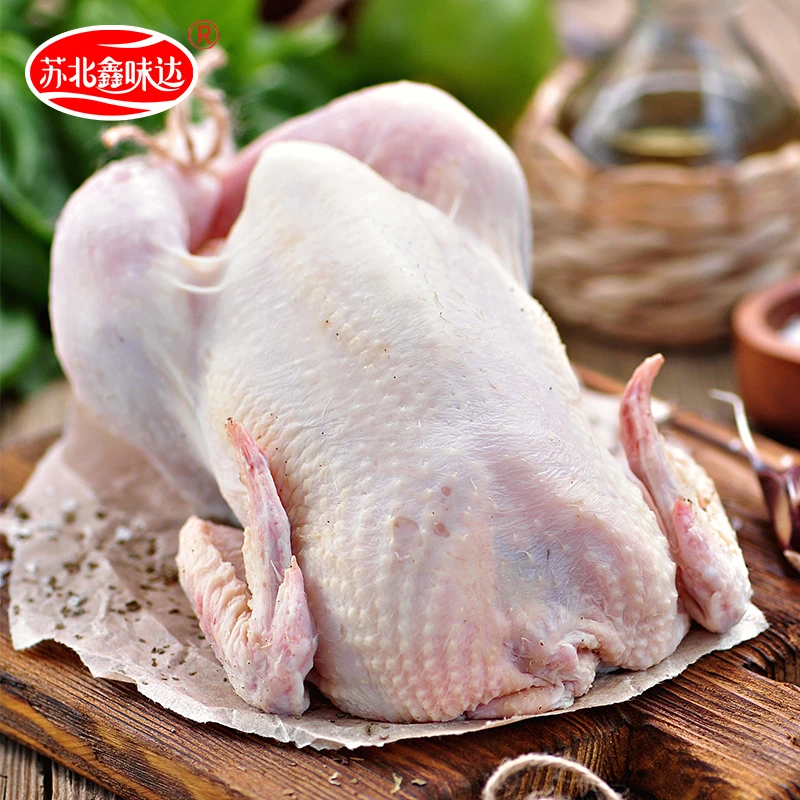苏北鑫味达苏北原生态散养老母鸡滋补新鲜走地鸡月子鸡甄选现杀