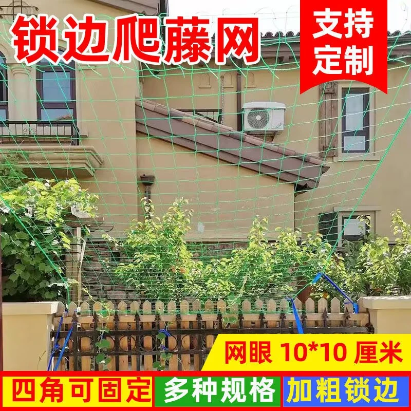 园艺爬藤网百香果专用葡萄植物发货菜园种植藤蔓花卉尼龙网搭架网