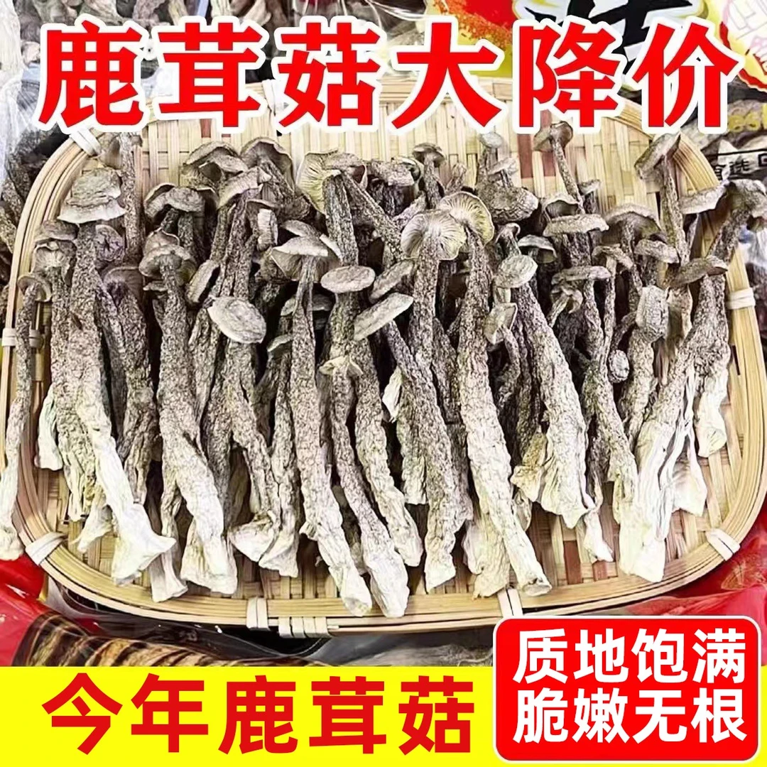 鹿茸菇古田食用菌农家干锅爆炒营养香菇菌路煲汤食材鹿茸菇脆脆菇