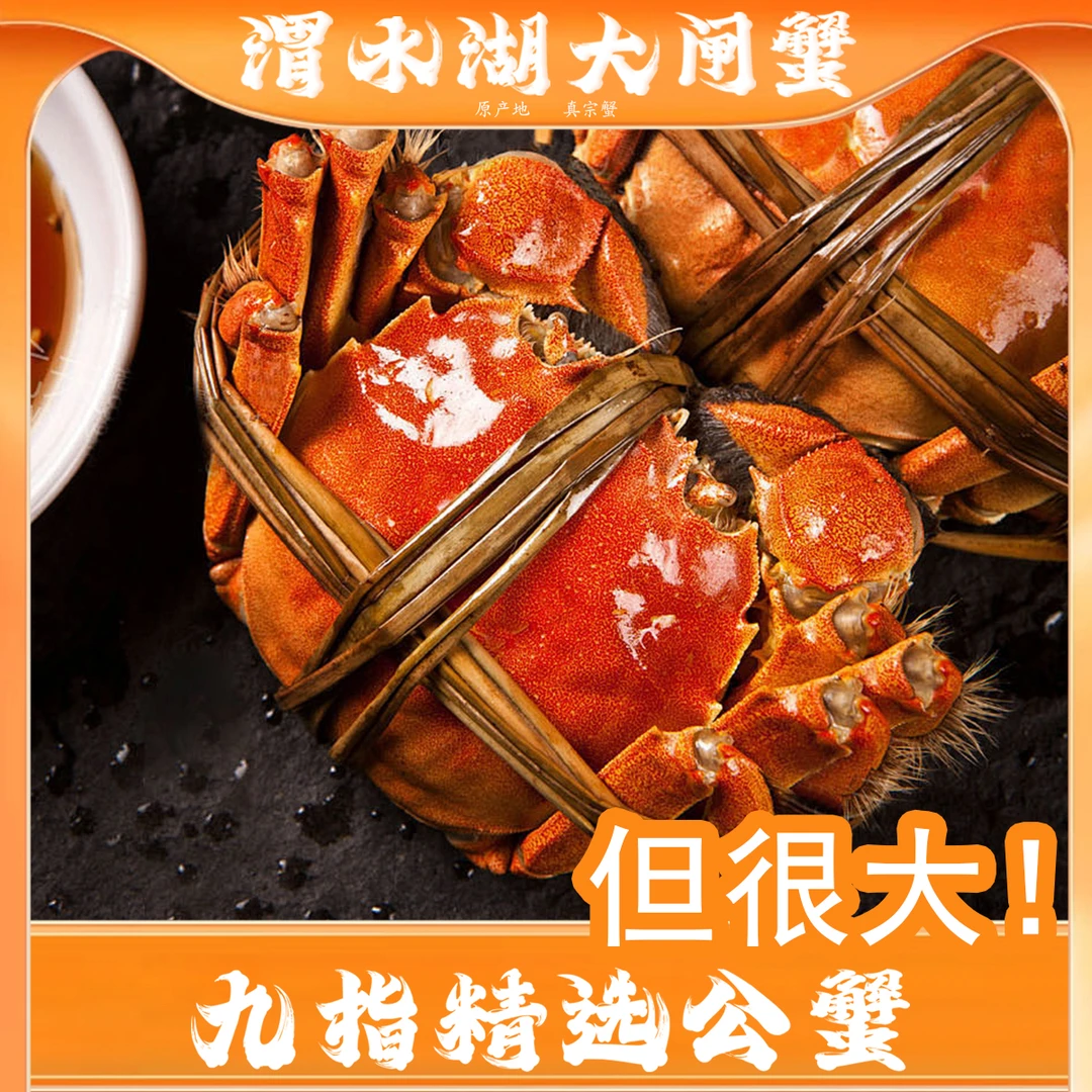 【精选品质大只！鲜活】九指公蟹4两左右8/9/10只 3斤以上送一只