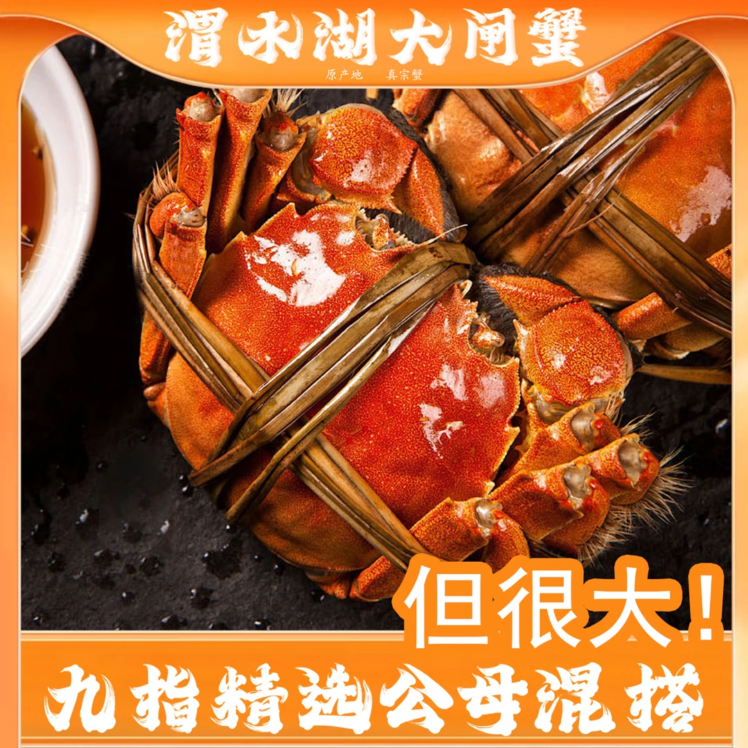 【品质！自吃！】九指公母混搭公4.3两母3.3两左右9/10/11只 送一只