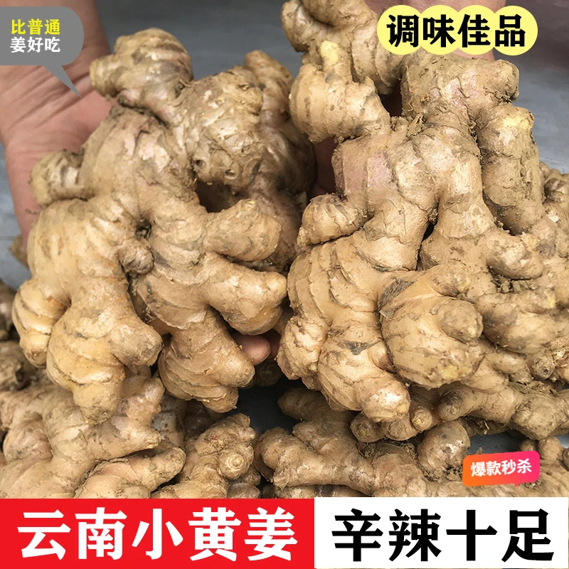 【正宗云南精品小黄姜】鲜姜高山老姜土姜嫩姜新姜无硫磺嫩山地浓郁