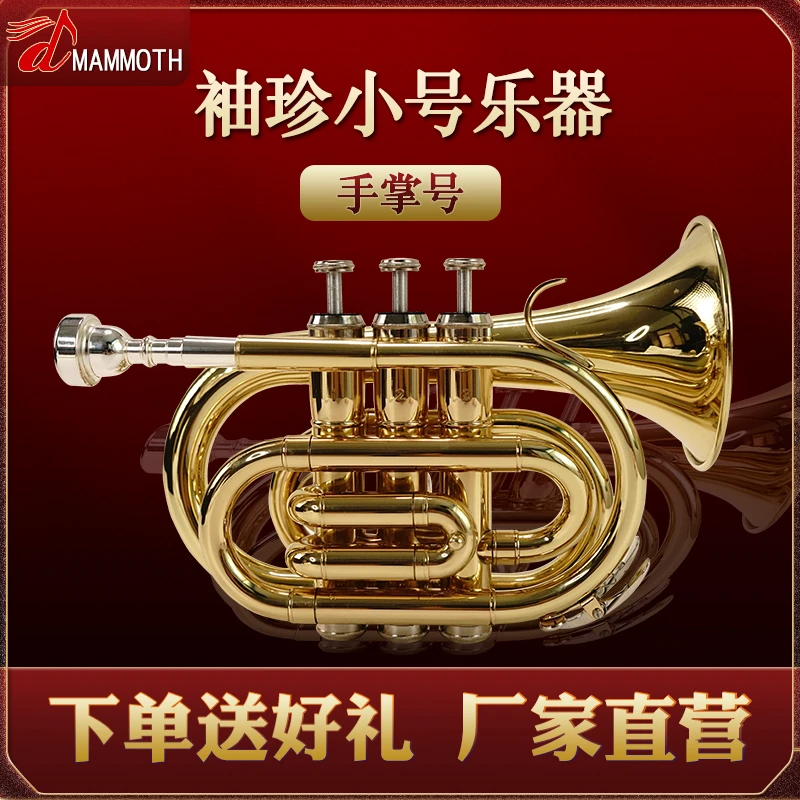 猛犸象手掌号袖珍小号降B调黄铜小号乐器初学学校乐团教学演奏