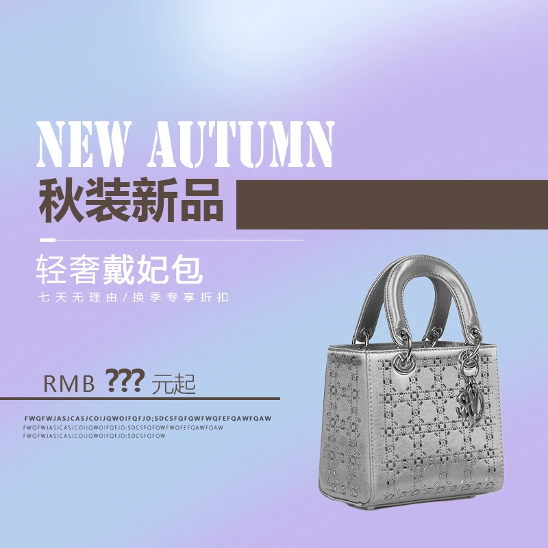 戴妃包女2024新款欧美时尚大牌轻奢百搭高级感女士手提斜挎小包包