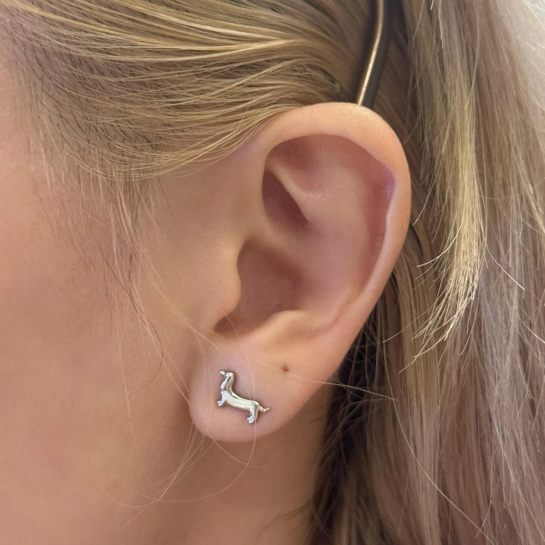 钛钢耳饰 hucares「你的小狗」原创医用钢耳骨耳蜗钉养耳洞耳钉高