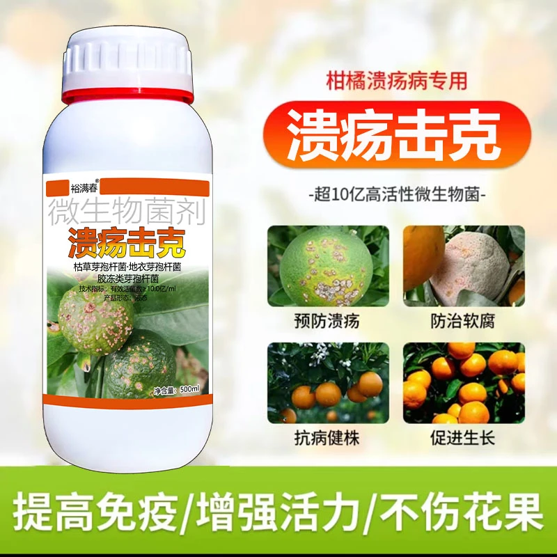 柑橘溃疡击克丑橘脐橙砂糖橘贡橘芦柑温州密柑红美人金柑橙子果树