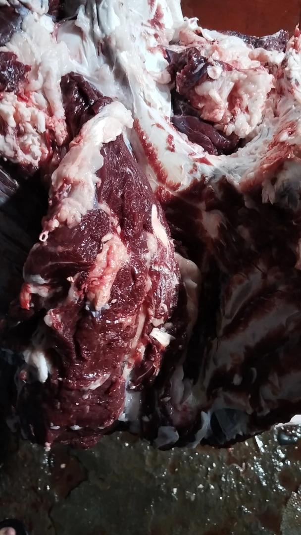 桥二爷水牛肉新鲜牛肉 4斤