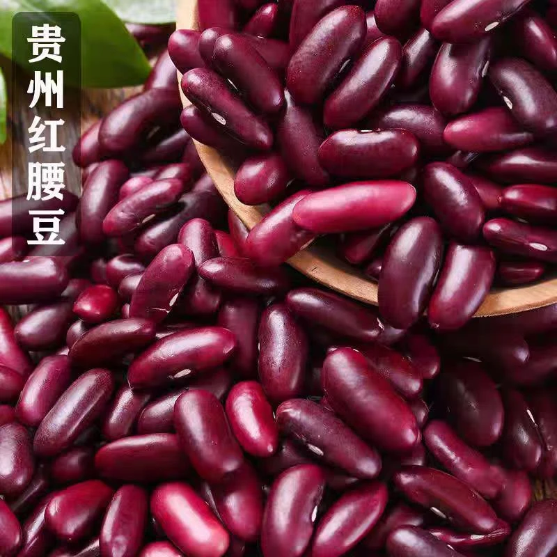 贵州红腰豆红芸豆四季酸菜豆米专用干货5斤干豆米杂娘云南红金豆