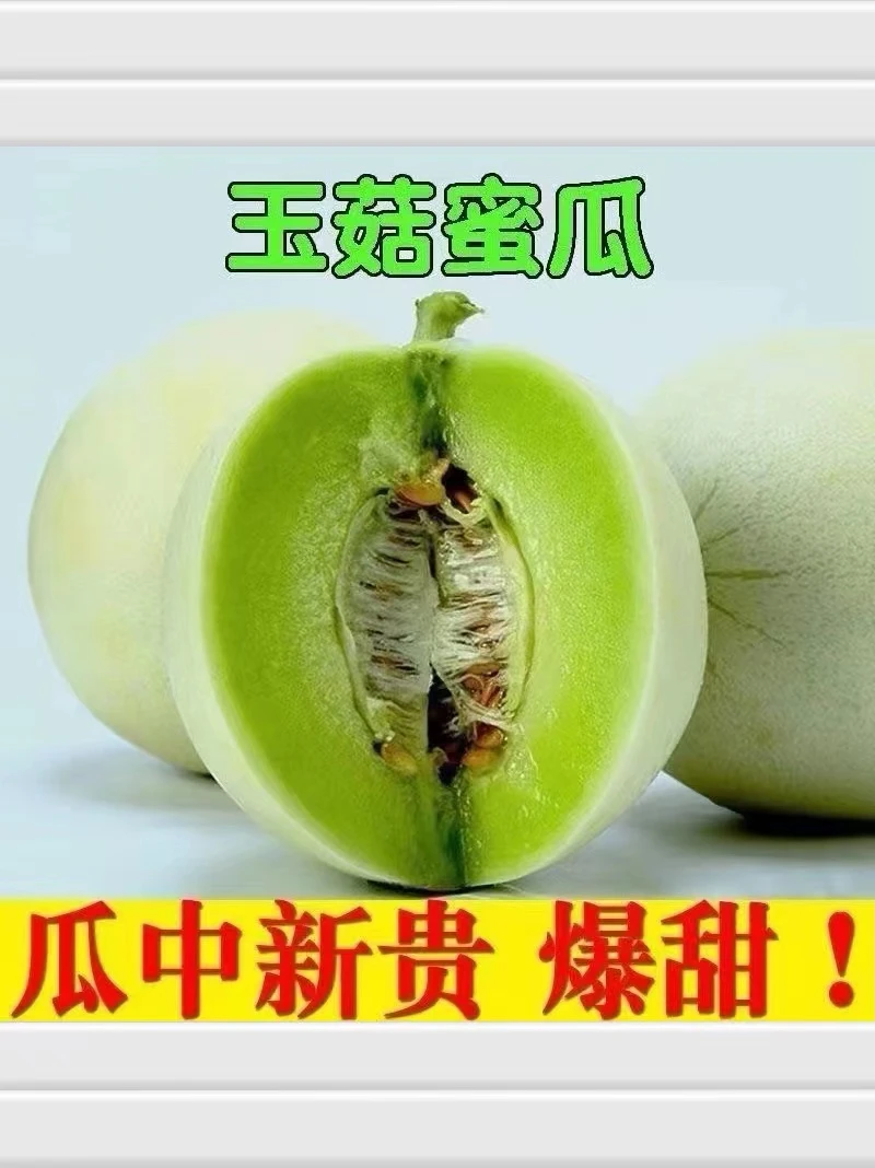 网红冰清玉菇甜瓜奶香蜜产地直发整箱包邮3-7斤装大果