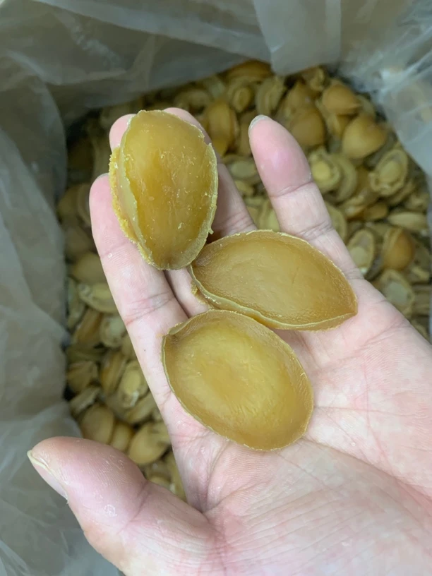 蚝西施专线30头大鲍鱼干包邮
