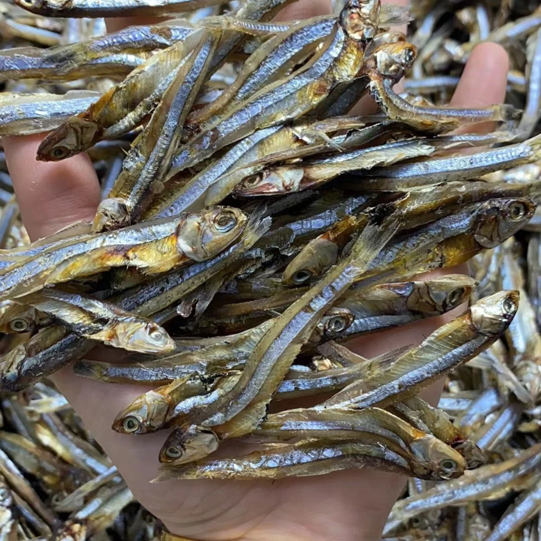 海燕鱼干 渔民自晒