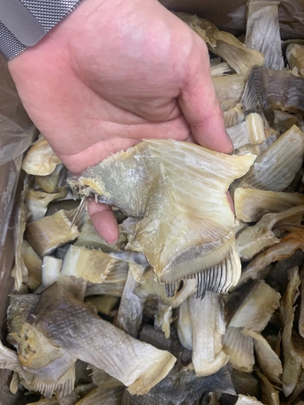 汕尾本地红鲳鱼肉块