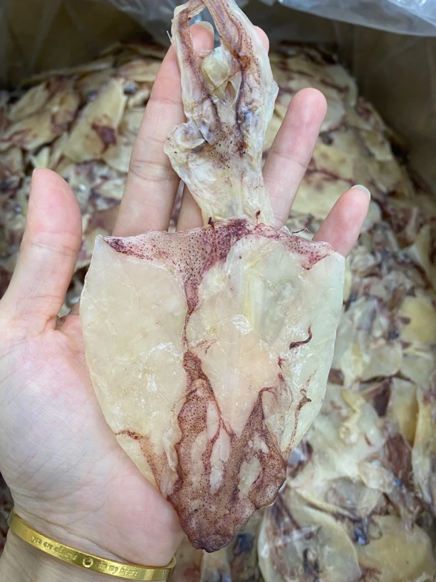 【蚝兴专线】汕尾本地鱿鱼片脆甜无粕爆炒下酒炒辣椒