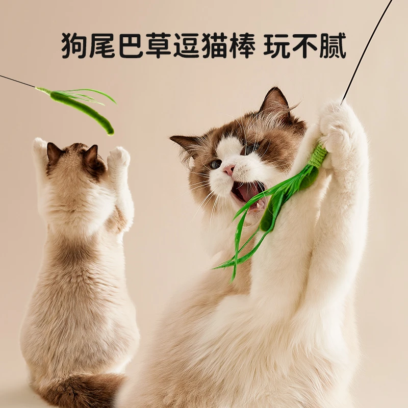 狗尾巴草猫咪逗猫棒耐咬猫玩具猫咪逗猫神器自嗨解闷手持猫咪玩具