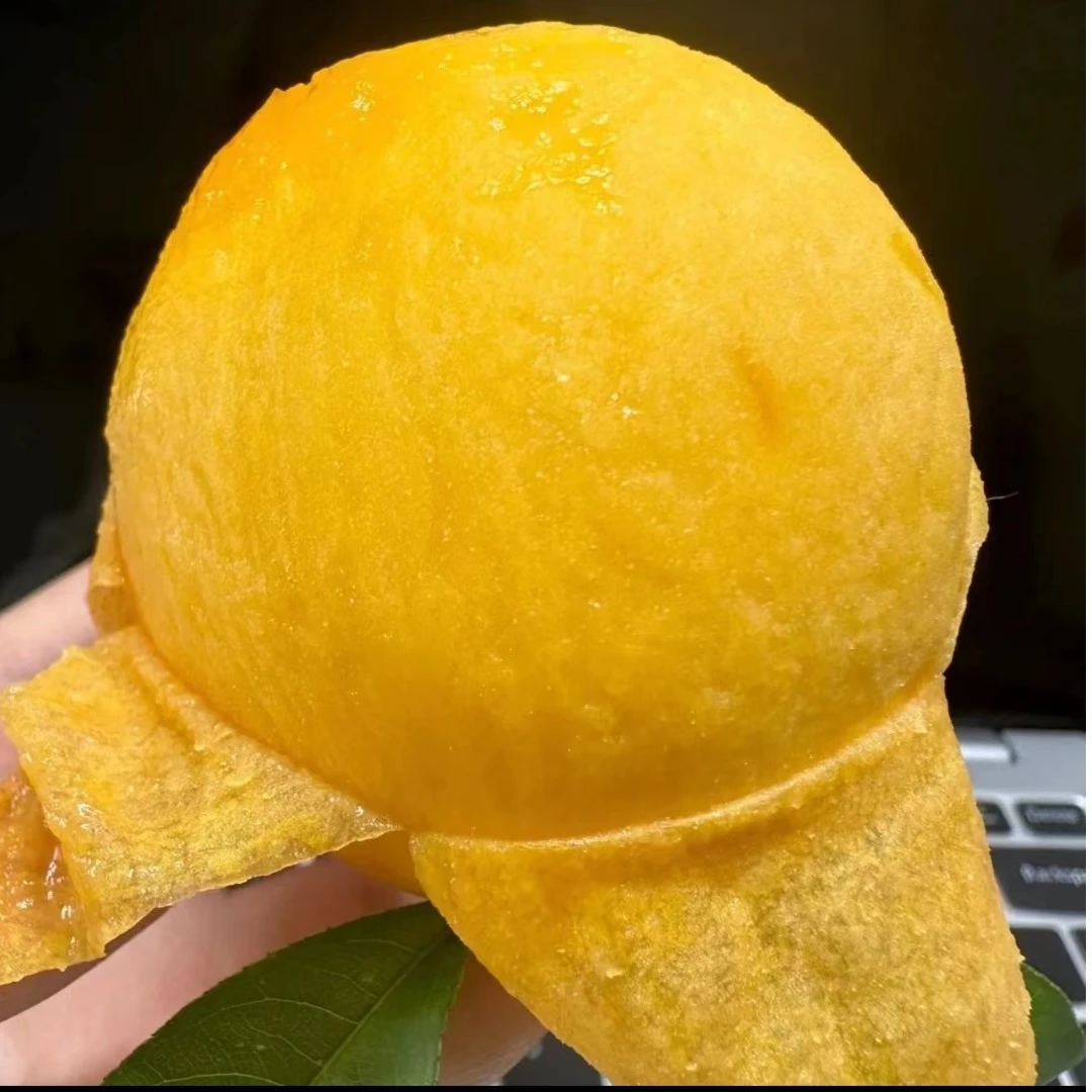 蒙阴蜜桃现摘现发果园新鲜直达锦绣黄桃