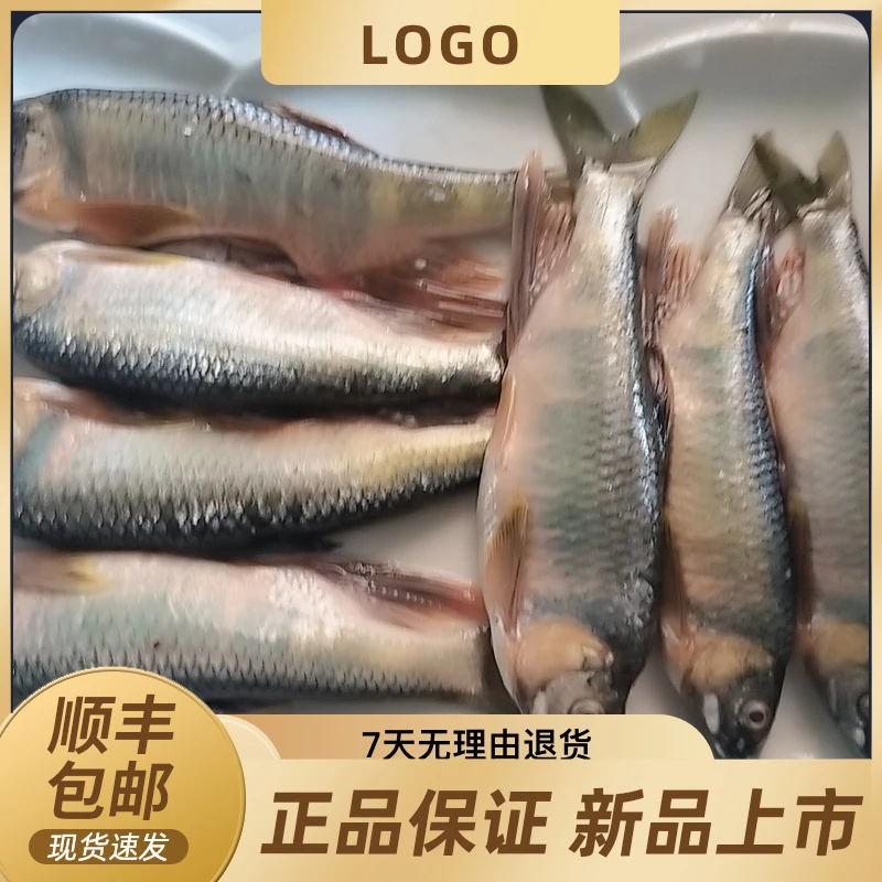 xiexuezhun/谢学准温州泰顺小溪坑沟野生纯色桃花鱼2000g