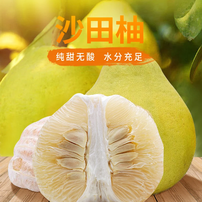 【包甜包水份】正宗沙田柚子直播农家老树果纯甜送开柚器广西特产8