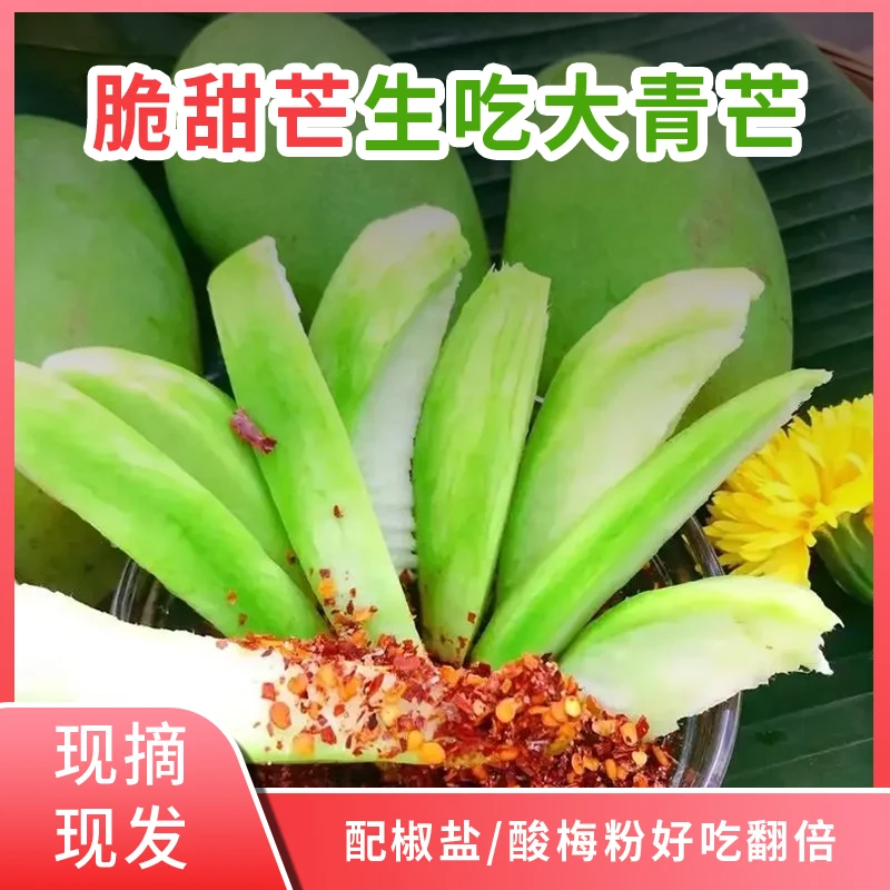 脆甜芒生吃大青芒果生吃酸脆熟吃Q糖芒果酸嘢专用配椒盐酸梅粉