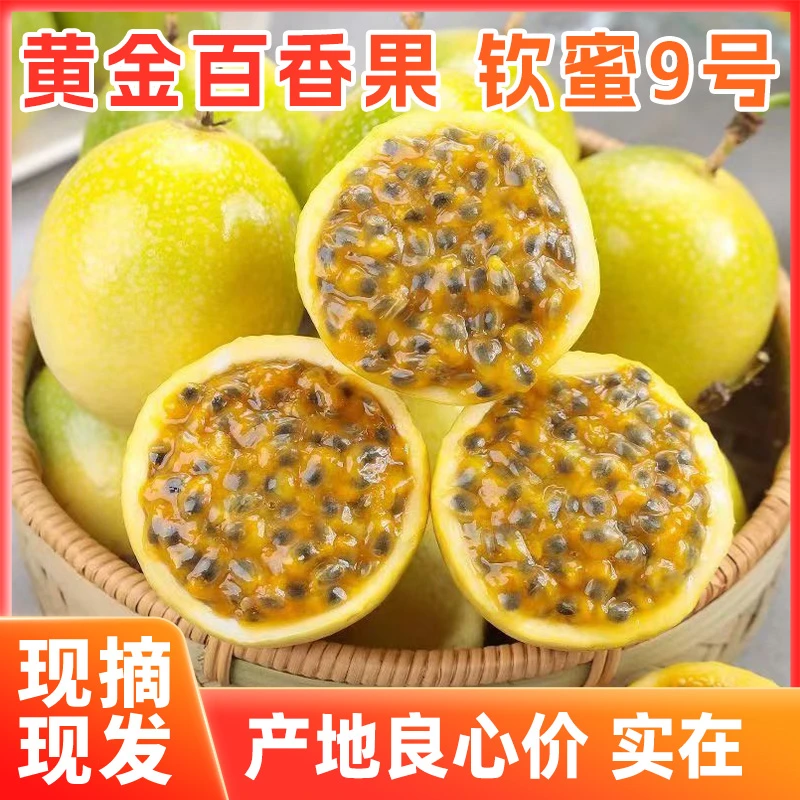 现摘新鲜广西钦蜜9号黄金百香果正宗钦蜜九号百香果大果配开果器