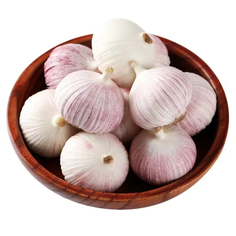 独蒜（免费4选2）自选