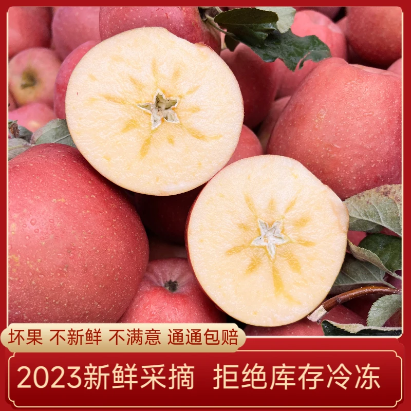 正宗云南昭通冰糖心红露丑苹果脆甜多汁非大凉山苹果现摘现发3斤