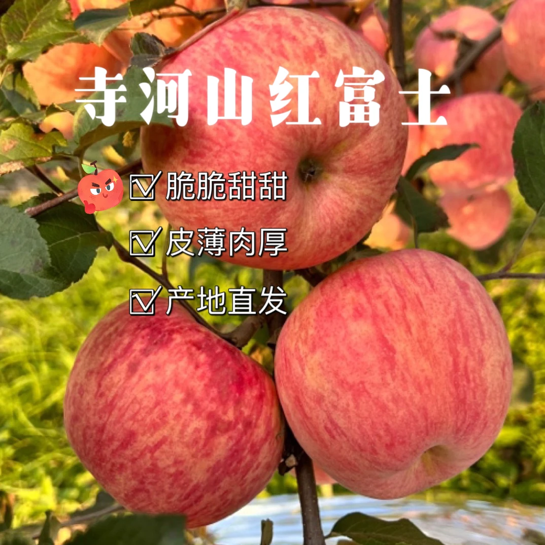 正宗寺河山苹果  大果80-85 脆甜多汁，皮薄肉厚