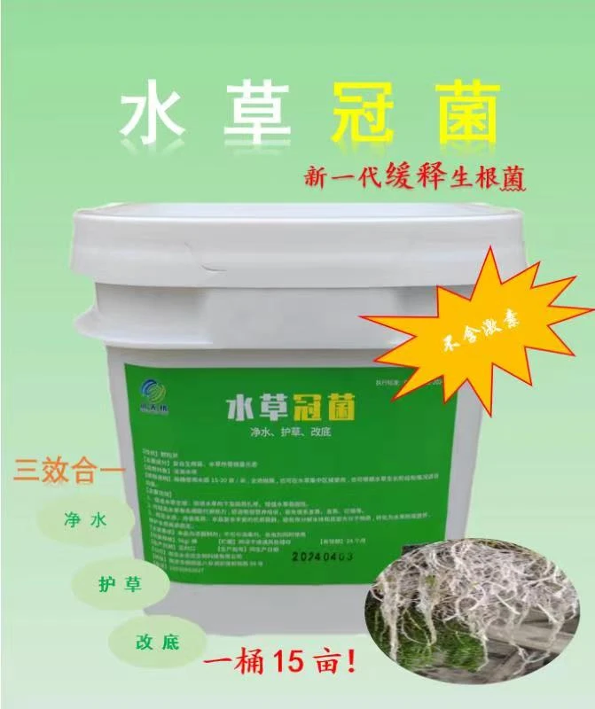 【水草冠菌】水草生根菌扎根牢固不漂浮高温不浓水【拍十发11】