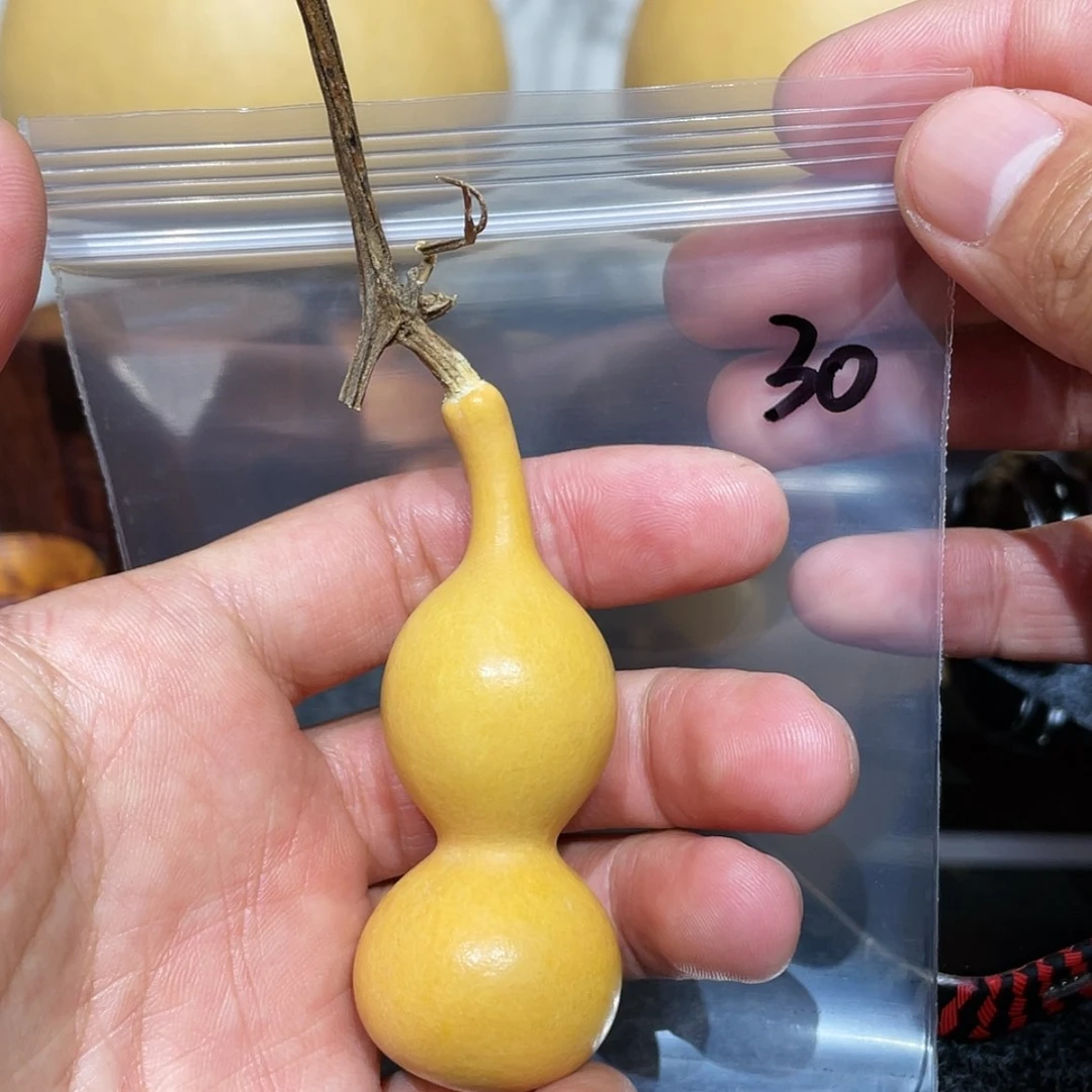 【闪购商品】书法蜡**新