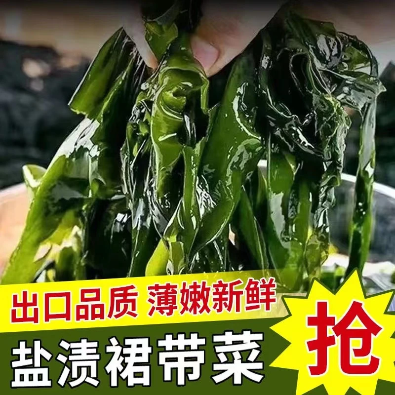【保证菜无虫眼】盐渍裙带菜海白菜海藻菜海带裙带菜凉拌菜麻辣烫