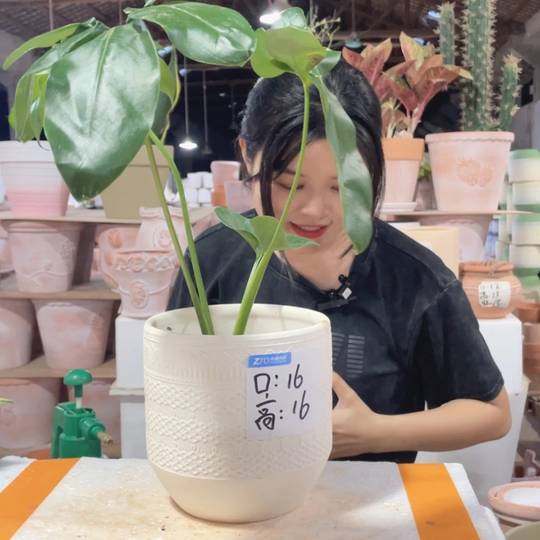 【闪购商品】红陶20CM（含）-50CM（不含）119白陶机雕16-16