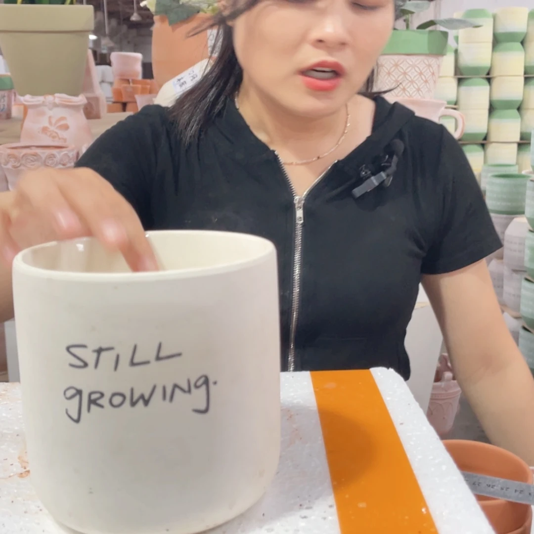 【闪购商品】红陶20CM以下无孔SG12-12