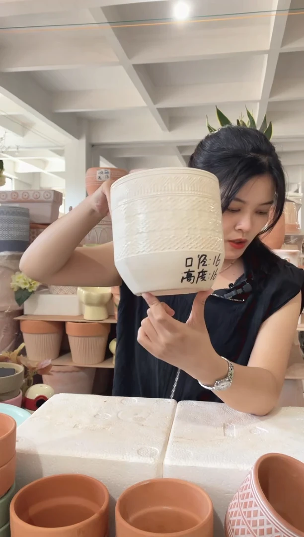 【闪购商品】红陶20CM以下119机雕白陶16-16