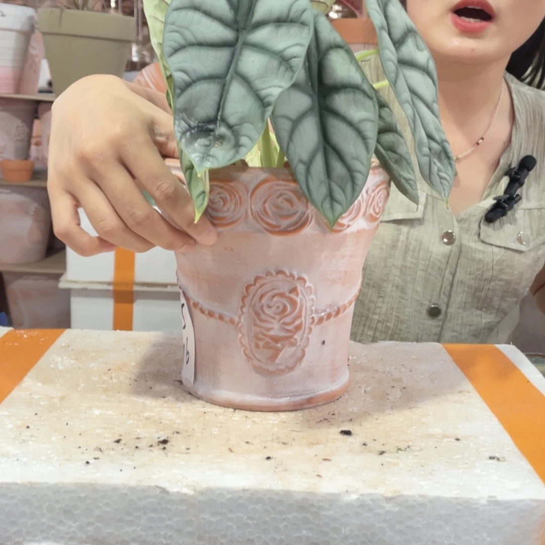 【闪购商品】红陶20CM（含）-50CM（不含）复古玫瑰花束15-16